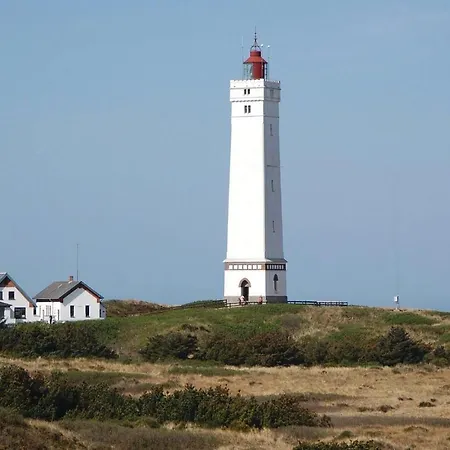Ferienhaus Vandflodvej Ix Blåvand